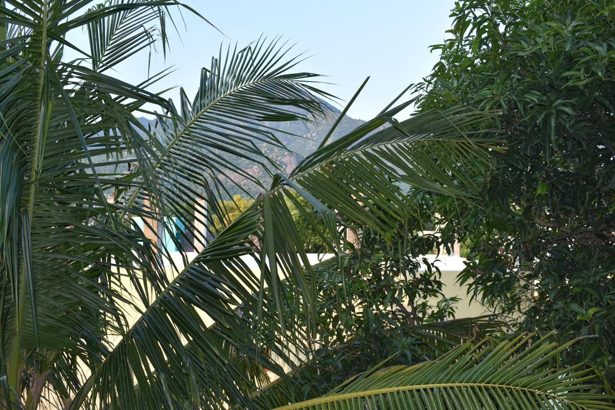 Rainbow Guest House ติรุวันนามาลัย ภายนอก รูปภาพ