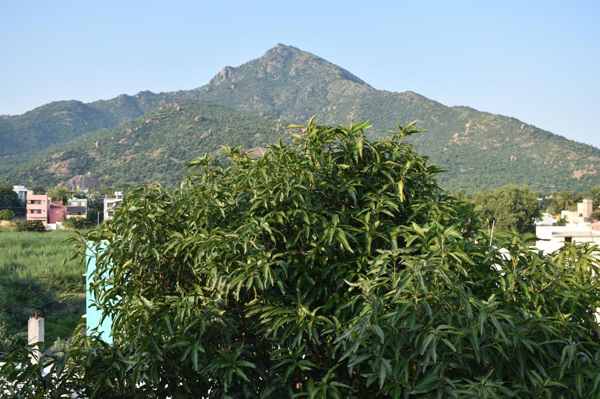 Rainbow Guest House ติรุวันนามาลัย ภายนอก รูปภาพ